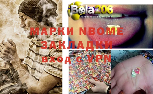 гидра Новозыбков