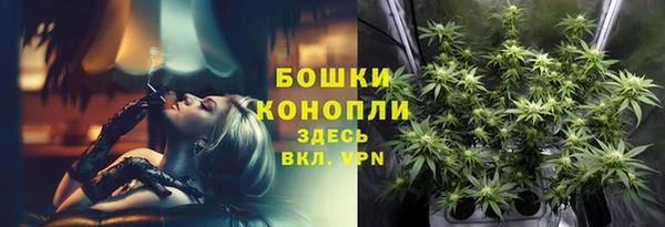 мяу мяу мука Няндома