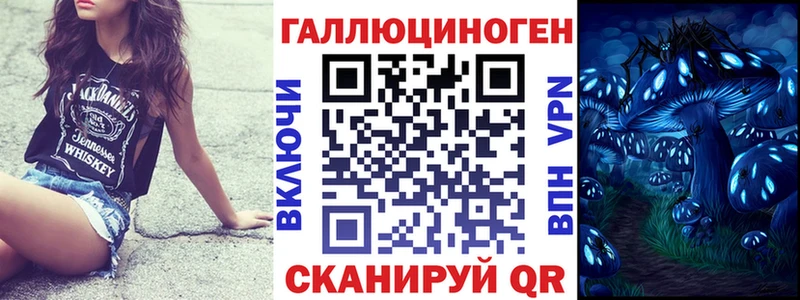 Галлюциногенные грибы Psilocybine cubensis  продажа наркотиков  Нахабино 